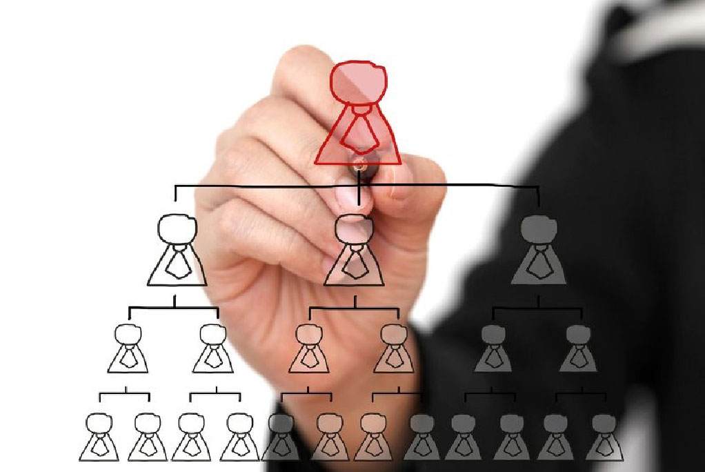 Designing Organizations for Rapid Growth